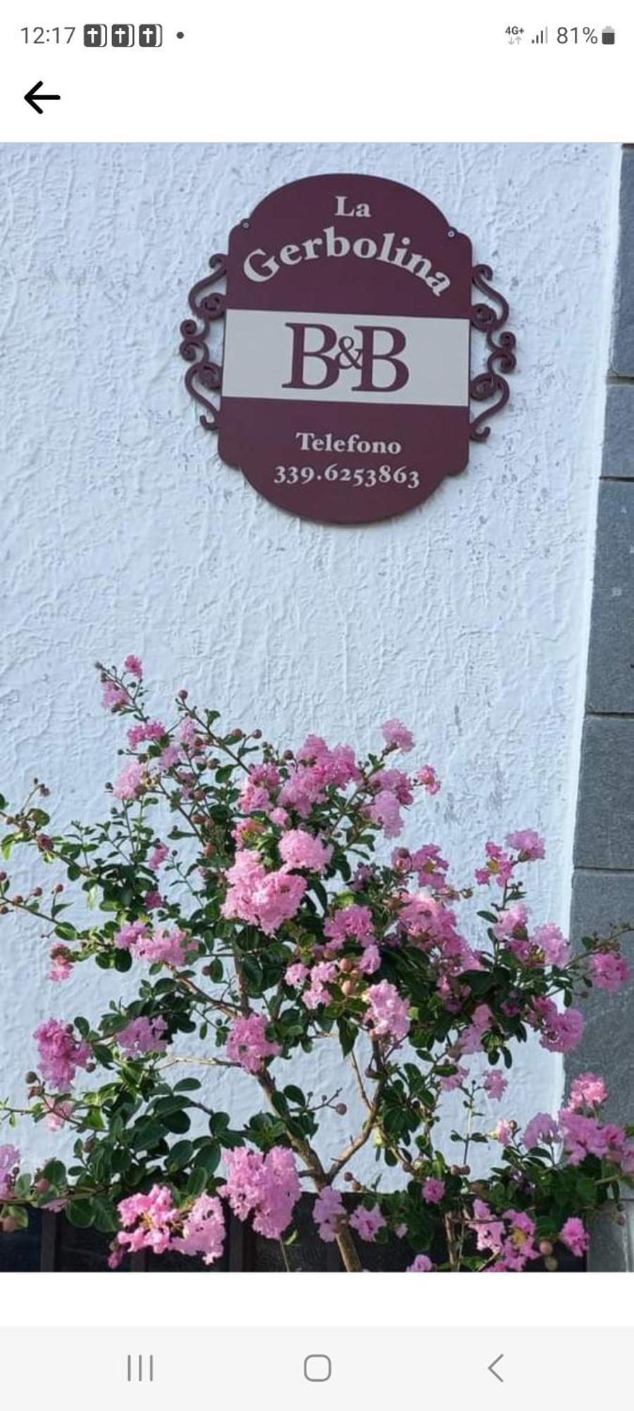 B&B La Gerbolina Сан-Джусто-Канавезе Экстерьер фото