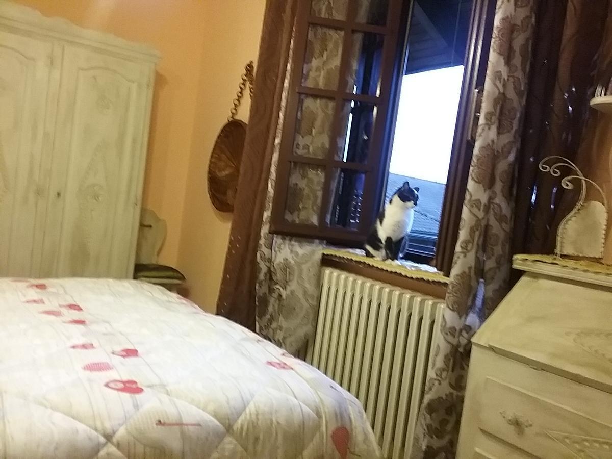 B&B La Gerbolina Сан-Джусто-Канавезе Экстерьер фото